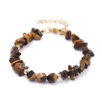 Natural Tiger Eye Beaded Bracelets, with Brass Beads and Lobster Claw Clasps, Nuggets, 7-1/8 inch(18cm)