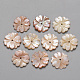 Perles naturelles de coquillage rose(SSHEL-R044-01)-1