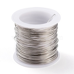 316 Surgical Stainless Steel Wire, for Jewelry Making, Stainless Steel Color, 20 Gauge, 0.8mm, about 26.24 Feet(8m)/roll(TWIR-L004-01D-P)