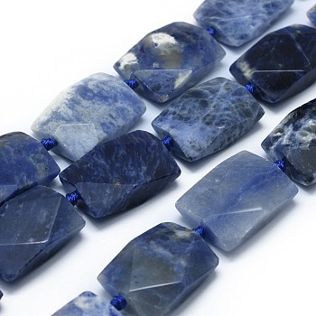 Natural Sodalite Beads Strands, Faceted, Rectangle, 23.5~24.5x17.5~18x7.5~9mm, Hole: 1.5mm, about 15pcs/strand, 15.6~16.8 inch(39.8~42.7cm)