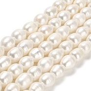 Natural Cultured Freshwater Pearl Beads Strands, Rice, Grade A, Floral White, 10.5~12x9.5~10mm, Hole: 0.6mm, about 31~34pcs/strand, 14.57 inch(37cm)(PEAR-E016-088)