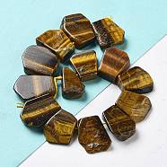Natural Tiger Eye Beads Strands, Nuggets, Top Drilled, 16~17x18~23.5x6~8mm, Hole: 0.7mm, about 15pcs/strand, 7.28~7.72''(18.5~19.6cm)(G-P528-K11-01)