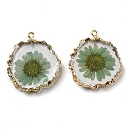 Inner Dried Flower Resin Pendants, Flat Round Charms with Light Gold Plated Brass Edge and Iron Loops, Dark Sea Green, 34~36x30~31.5x4.5~5.5mm, Hole: 2mm(RESI-P028-02KCG-02)