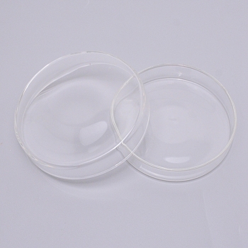 Glass Biochemical Petri Dish, Laboratory Equipment Accessories, Flat Round, Clear, 90~97x19mm, Inner Size: 85~93mm, 2pcs/set