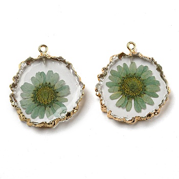 Inner Dried Flower Resin Pendants, Flat Round Charms with Light Gold Plated Brass Edge and Iron Loops, Dark Sea Green, 34~36x30~31.5x4.5~5.5mm, Hole: 2mm