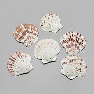 Sea Shell Big Pendants, Saddle Brown, 45~62x48~66x4~8mm, Hole: 1.5mm, about 75pcs/500g(SSHEL-Q299-003)