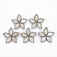 Flower Shape Natural White Shell Brooch Pin, Alloy Lapel Pin for Backpack Clothing, Lead Free & Cadmium Free, Antique Silver, Beige, 41x43x9~10mm, Hole: 6x4mm, Pin: 0.7mm(G-N333-012A-RS)