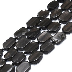 Natural Tektite Beads Strands, Rectangle, 15~17x10~13x5~7mm, Hole: 1mm, about 22pcs/strand, 15.94 inch(40.5cm)(G-K245-J16-01)