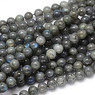 Natural Labradorite Round Bead Strands, 8mm, Hole: 1mm, about 55pcs/strand, 16 inch(G-O087-04-8mm)