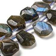 Natural Labradorite Beads Strands, Faceted, Teardrop, Top Drilled, 10~18x8~13x3~7mm, Hole: 1mm, about 27pcs/strand, 15.79''~15.98''(40.1~40.6cm)(G-Z040-A03-01)