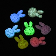 Luminous Resin Cabochons, Rabbit, Mixed Color, 16x11x4.6mm(RESI-E039-11)