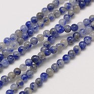 Natural Gemstone Blue Spot Jasper Round Beads Strands, 2mm, Hole: 0.8mm, about 184pcs/strand, 16 inch(X-G-A130-2mm-21)