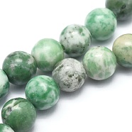 Natural Qinghai Jade Beads Strands, Round, 10mm, Hole: 1mm; about 37pcs/strand, 14.9 inches(38cm)(G-I254-06C)