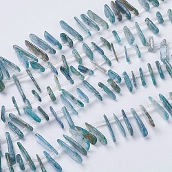 Natural Kyanite/Cyanite/Disthene Beads Strands, 9~35x4~6x2mm, Hole: 1mm, about 30~44pcs/strand, 15.7 inch(X-G-H1483-12)
