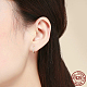 925 Sterling Silver Cubic Zirconia Hoop Earrings(EJEW-FF0010-15G)-3