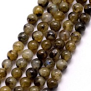 Natural Labradorite Bead Strands, Round, 3~3.5mm, Hole: 0.7mm, about 115~125pcs/strand, 16 inch(G-K146-49-3mm)