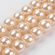 Shell Pearl Beads Strands, Round, PeachPuff, 10mm, Hole: 1mm, about 40pcs/strand, 15.7 inch(39.8cm)(BSHE-K011-10mm-VA066)