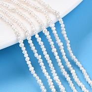 Natural Cultured Freshwater Pearl Beads Strands, Grooved Potato, Creamy White, 1.5~2x1.5~3.5mm, Hole: 0.5mm, about 224~229pcs/strand, 14.57~14.96 inch(37~38cm)(PEAR-N013-01)