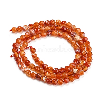 Dyed Natural Fire Crackle Agate Beads Strands(G-G007-01E)-3