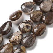 Natural Wealth Stone Beads Strands, Flat Teardrop, 17.5~18x13~13.5x6mm, Hole: 1.2~1.4mm, about 11pcs/strand, 7.56''(19.2cm)(G-P528-L04-01)