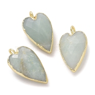 Natural Amazonite Pendants, Faceted Heart Charms, with Golden Plated Brass Edge Loops, 22.5x13x7.5mm, Hole: 3mm(G-G012-12G-03)