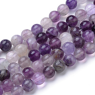Natural Fluorite Beads Strands, Round, Purple, 6~6.5mm, Hole: 1mm, about 63pcs/strand, 15.5 inch(X-G-T055-6mm-14)