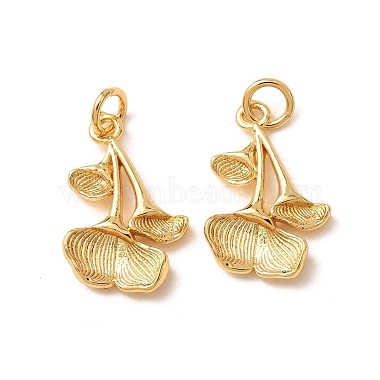 Brass Pendants(KK-CBA2F11-21B-G)-1