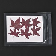 Maple Leaf Embossing Dried Flower, for Cellphone, Photo Frame, Scrapbooking DIY Handmade Craft, Brown, 40~65x39~57mm, 6pcs/bag(DIY-K032-63B)