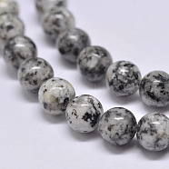 Natural Sesame Jasper/Kiwi Jasper Beads Strands, Round, Gray, 6mm, Hole: 1mm, about 62pcs/strand, 15.1 inch(X-G-F351-6mm)