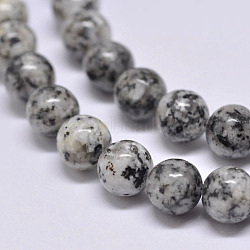 Natural Sesame Jasper/Kiwi Jasper Beads Strands, Round, Gray, 6mm, Hole: 1mm, about 62pcs/strand, 15.1 inch(X-G-F351-6mm)