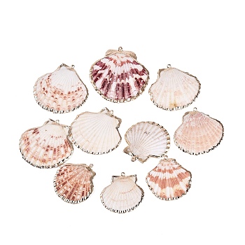 Electroplate Sea Shell Pendants, with Light Gold Iron Findings, Colorful, 40~60x35~60x3~6mm, Hole: 1.6mm