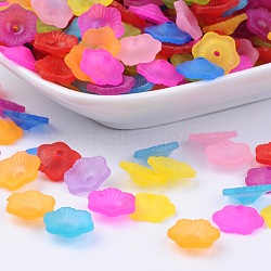 Transparent Acrylic Beads, Frosted, Flower, Mixed Color, 11x4mm, Hole: 2mm, about 3500pcs/500g(PAF087Y)