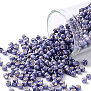 TOHO Round Seed Beads, Japanese Seed Beads, (PF567F) PermaFinish Purple Metallic Matte, 8/0, 3mm, Hole: 1mm, about 222pcs/bottle, 10g/bottle(SEED-JPTR08-PF0567F)