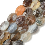 Natural Botswana Agate Beads Strands, Faceted, Flat Oval, 12~12.5x8.5~9x5~6mm, Hole: 0.9mm, about 33pcs/strand, 15.63''(39.7cm)(G-H004-B02-03)