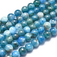 Natural Apatite Beads Strands, Round, 4~4.5mm, Hole: 0.5mm, about 102pcs/Strand, 15.35 inch(39cm)(G-K305-26-C)