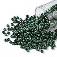 TOHO Round Seed Beads, Japanese Seed Beads, (710) Matte Color Aquarius, 8/0, 3mm, Hole: 1mm, about 222pcs/bottle, 10g/bottle(SEED-JPTR08-0710)