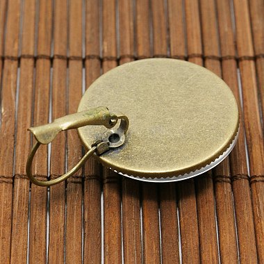 25mm Transparent Clear Domed Glass Cabochon Cover for Brass Photo Leverback Earring Making(KK-X0013-NF)-3