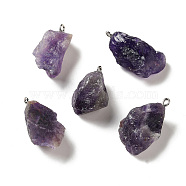 Raw Rough Natural Amethyst Pendants, Nuggets Charms, with Platinum Plated Iron Loops, 21~34.5x15~25.5x10~17mm, Hole: 2mm(G-A028-01E)