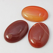 Natural Gemstone Cabochons, Red Agate, Oval, Red, 30x22x7mm(X-G-G082-22x30x7mm-1)