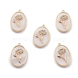 Natural Freshwater Shell Pendants, Oval with Flower Charms, with Brass Findings, Light Gold, 27x18x4.5mm, Hole: 1.8mm(BSHE-E028-11KCG)