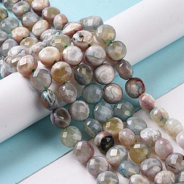 Natural Dyed Fire Crackle Agate Beads Strands(X-G-C023-08A)-2