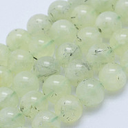 Natural Prehnite Beads Strands, Round, Grade A-, 8~8.5mm, Hole: 1mm, about 51pcs/strand, 15.7 inch(40cm)(G-L478-37-8mm)