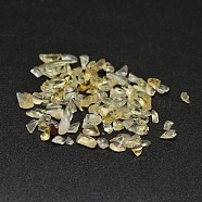 Natural Citrine Chip Beads, No Hole/Undrilled, 2~8x2~4mm, about 8500pcs/500g(G-O103-09)