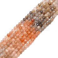 Natural Multi-Moonstone Beads Strands, Faceted, Round, 2mm, Hole: 0.5mm, about 215pcs/strand, 15.16''~15.55''(38.5~39.5cm)(G-P457-A01-24)
