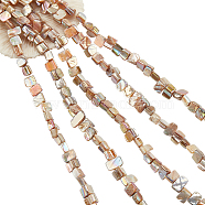 5 Strands Natural Freshwater Shell Beads Strands, AB Color Plated, Nuggets, Peru, 7~14x6.5~9x5~9mm, Hole: 0.8mm, about 46~47pcs/strand, 14.96 inch~15.35 inch(38~39cm)(SHEL-NB0001-57)