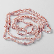 Natural Sea Shell Conch Bead Strands, 5~8mm, Hole: 2mm, about 150pcs/strand, 56.7 inch(X-BSHE-O009-11)