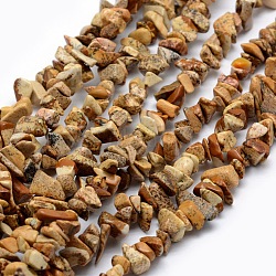 Natural Picture Jasper Beads Strands, Chip, 5~8mm, Hole: 1mm, about 33 inch(84cm)(G-P332-19)