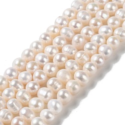 Natural Cultured Freshwater Pearl Beads Strands, Potato, Grade 3A+, PapayaWhip, 7~8x6~7mm, Hole: 0.5mm, about 52~54pcs/strand, 13.78~14.25''(35~36.2cm)(PEAR-E018-13)