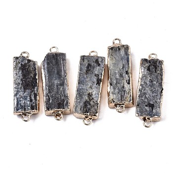 Natural Kyanite/Cyanite/Disthene Links Connectors, with Edge Golden Plated Iron Loops, Rectangle, 37~39x12~13x6~7mm, Hole: 2mm