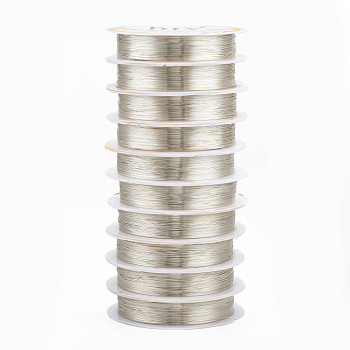 Round Copper Jewelry Wire, Long-Lasting Plated, Silver Color Plated, 0.3mm, about 51.18 Feet(15.6m)/roll